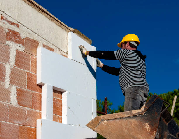 Best Insulation Removal  in Bismarck, ND