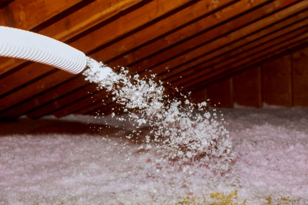 Best Insulation Contractors for Homes  in Bismarck, ND