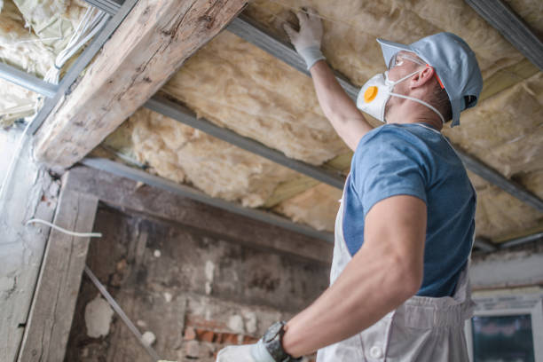 Insulation Contractors for Homes in Bismarck, ND
