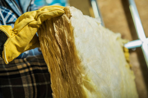 Best Insulation Removal  in Bismarck, ND