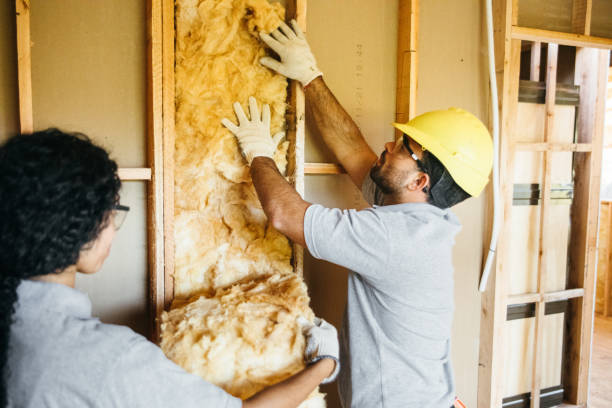 Best Spray Foam Insulation  in Bismarck, ND
