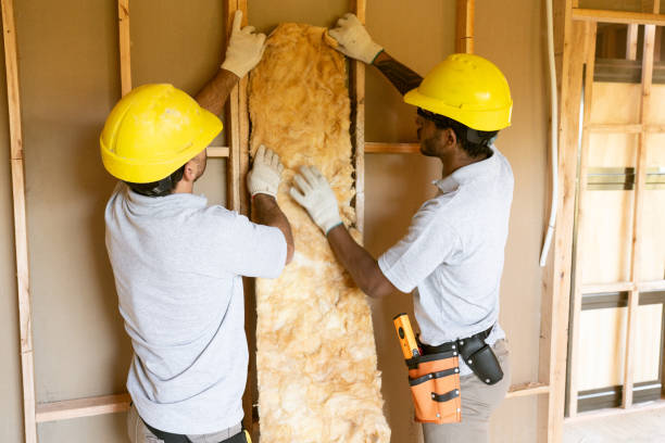 Best Crawl Space Insulation  in Bismarck, ND