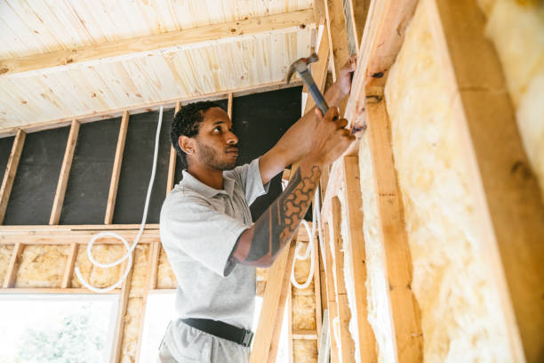 Best Insulation Removal Services  in Bismarck, ND