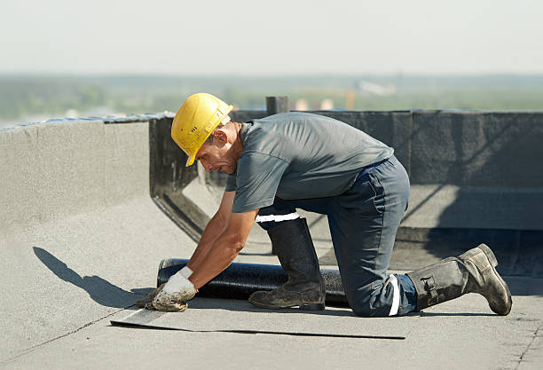 Best Attic Insulation Installation  in Bismarck, ND
